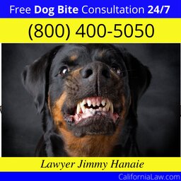 Best Dog Bite Attorney For Aliso Viejo