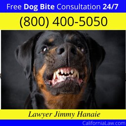 Best Dog Bite Attorney For Altadena