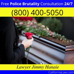 Best Police Brutality Lawyer For Alameda