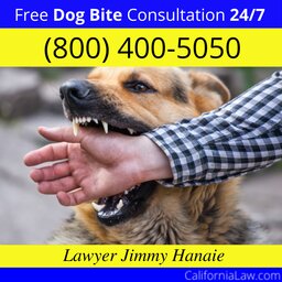 Chinese Camp Dog Bite Lawyer CA
