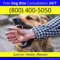 El Segundo Dog Bite Lawyer CA