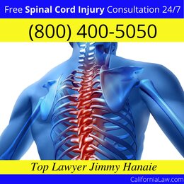 Lower Lake Spinal Cord Injury Lawyer