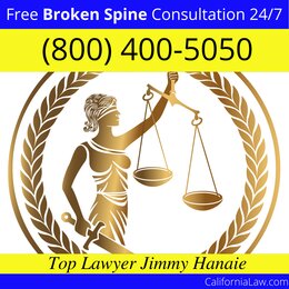 Agoura Hills Broken Spine Lawyer