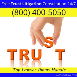 Agoura Hills Trust Litigation Lawyer CA