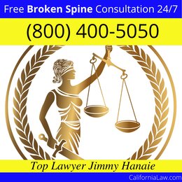 Alderpoint Broken Spine Lawyer
