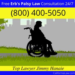 Alleghany Erb's Palsy Lawyer