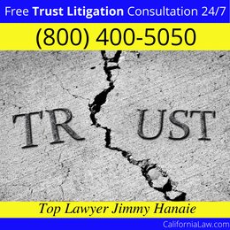 Best Adin Trust Litigation Lawyer