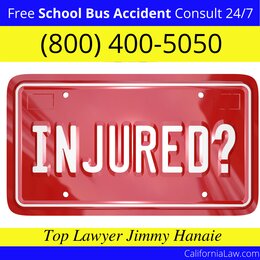 Best Alderpoint School Bus Accident Lawyer