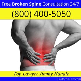 Best Alta Loma Broken Spine Lawyer