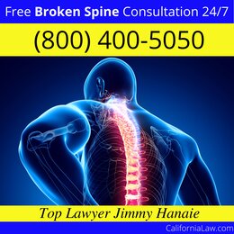 Best American Canyon Broken Spine Lawyer