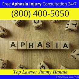 Best Burnt Ranch Aphasia Lawyer