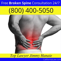 Best La Mesa Broken Spine Lawyer