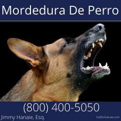 Avenal Abogado de Mordedura de Perro CA