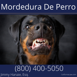 Mejor abogado de mordedura de perro para Adelanto