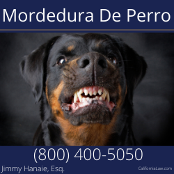Mejor abogado de mordedura de perro para Monterey