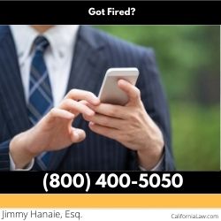 I Got Fired From Law Firm
