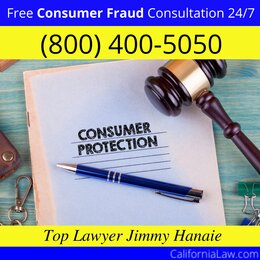 Licensed Consumer Fraud Lawyer For California